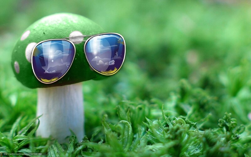 Green Mushroom with Sunglasses