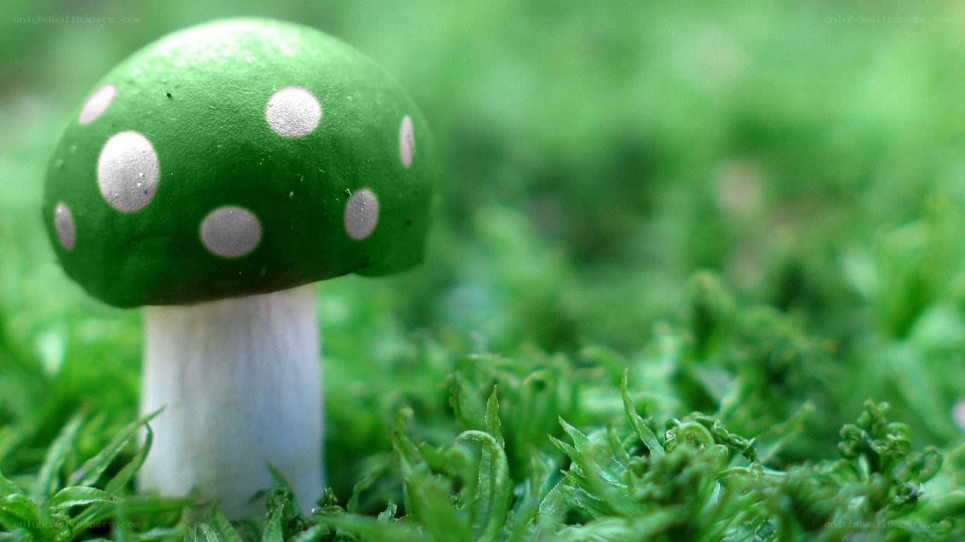 green mushroom with white spots
