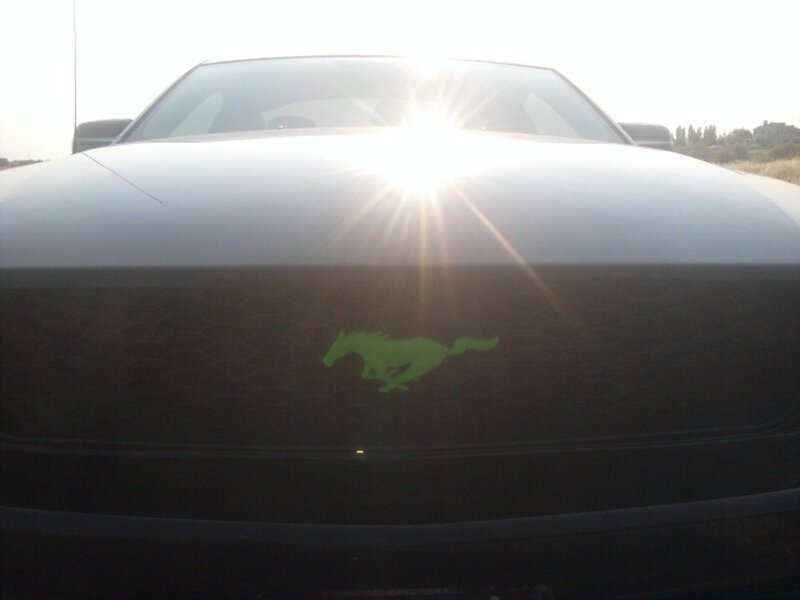 Green Mustang Logo