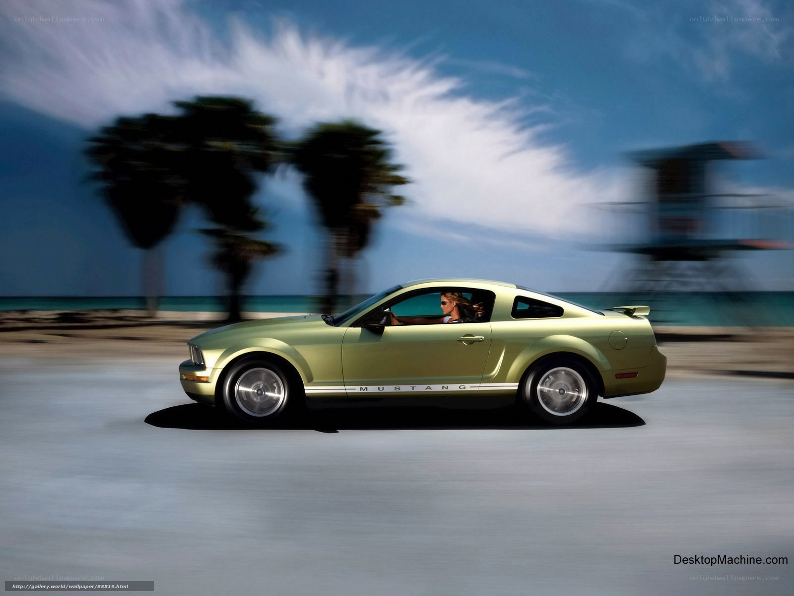 Green Mustang on beach road