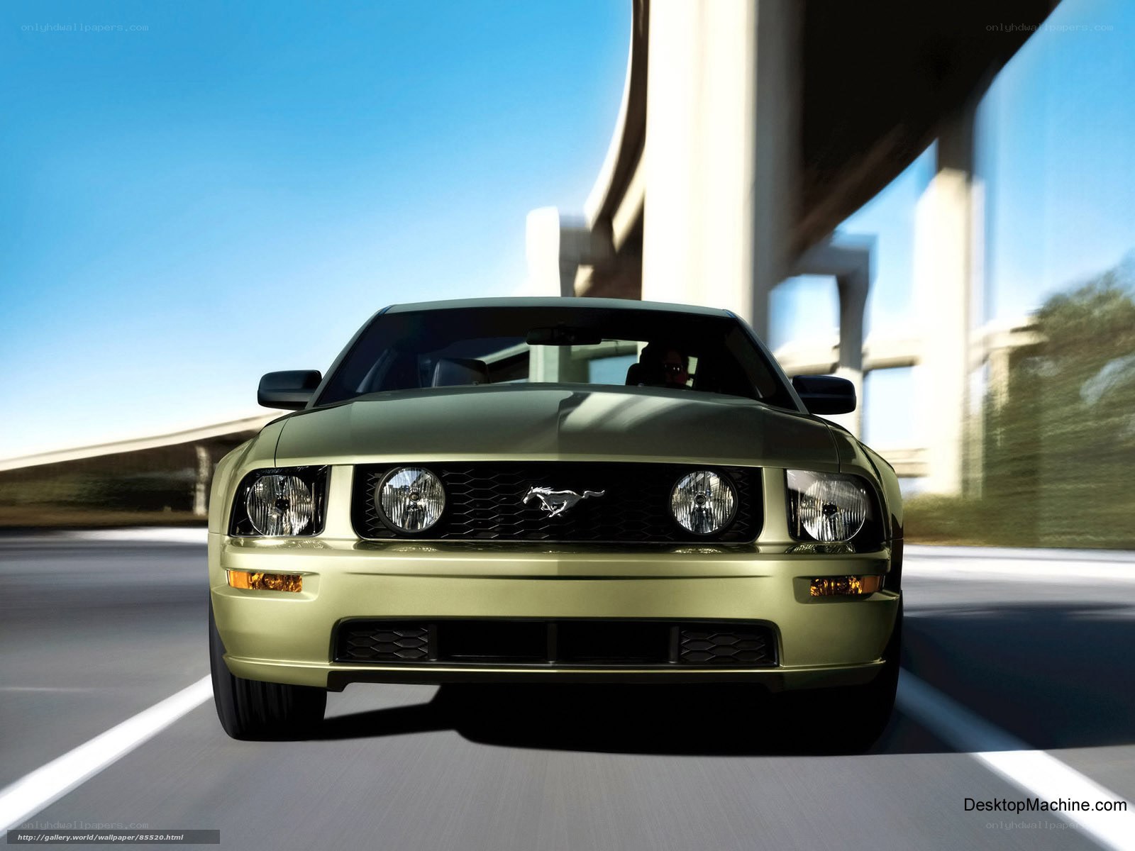 Green Mustang on highway