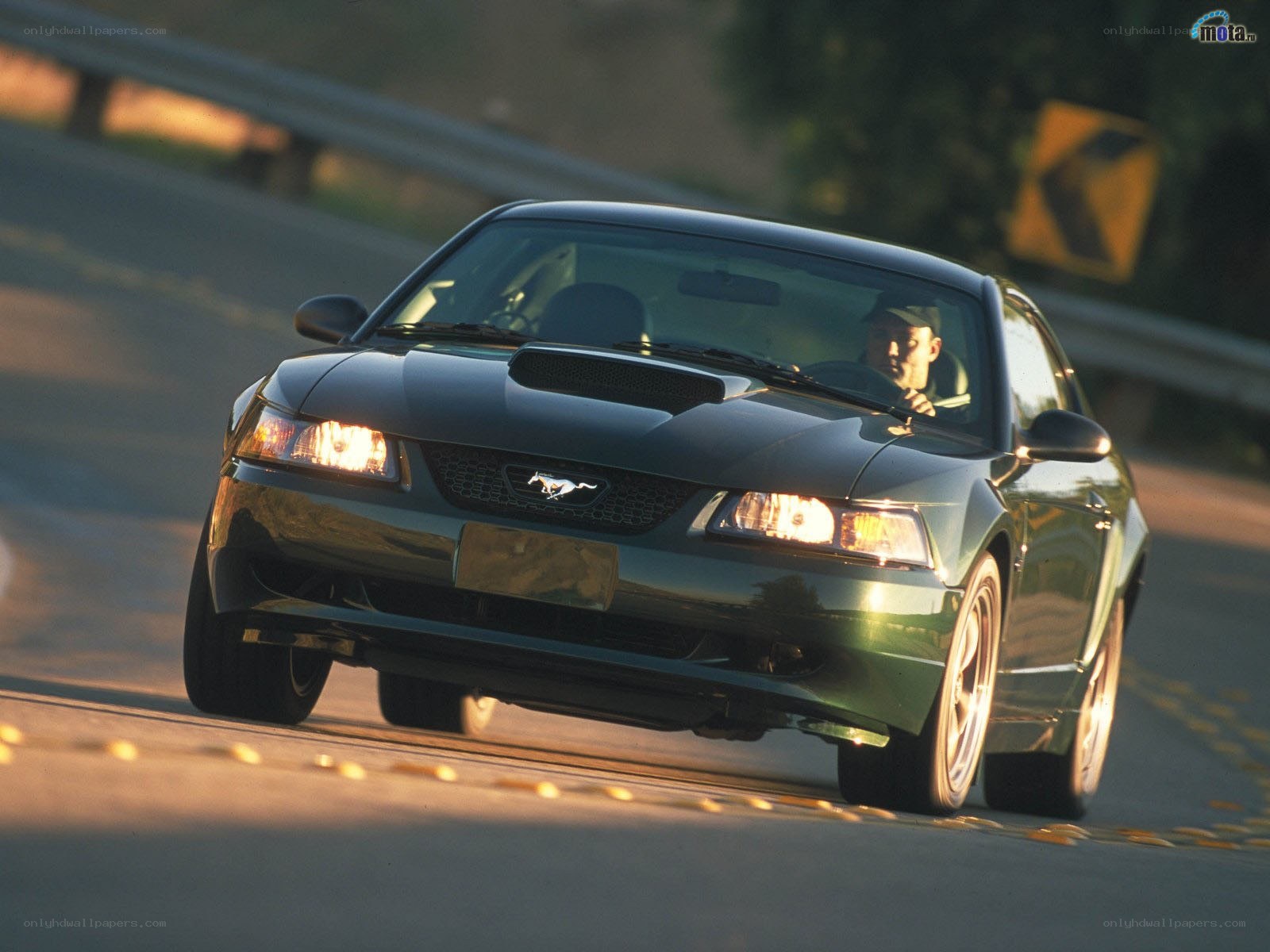 green mustang on road