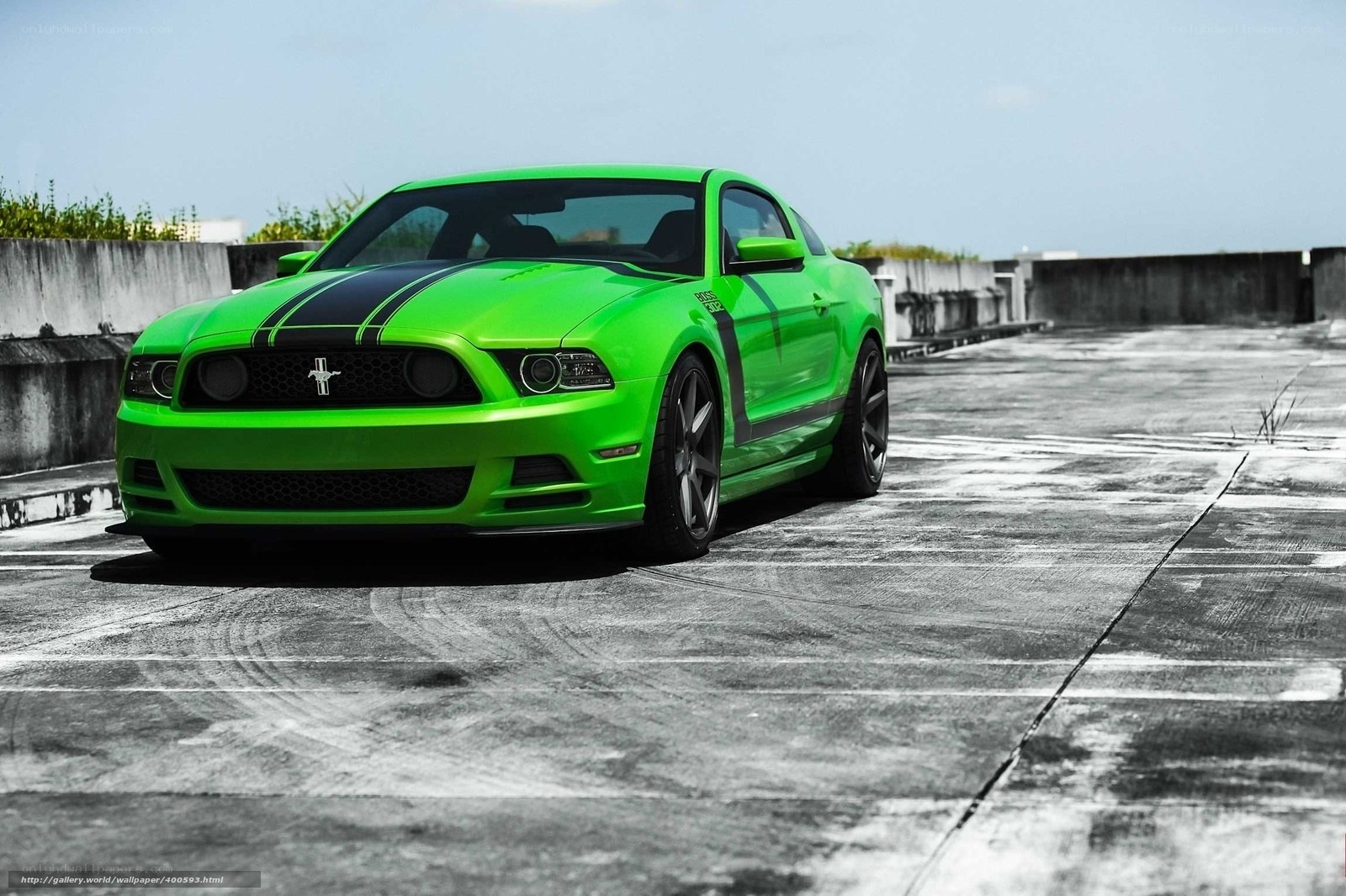 green mustang on rooftop
