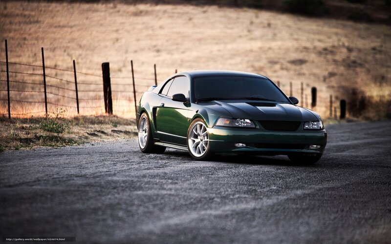 green mustang on rural road