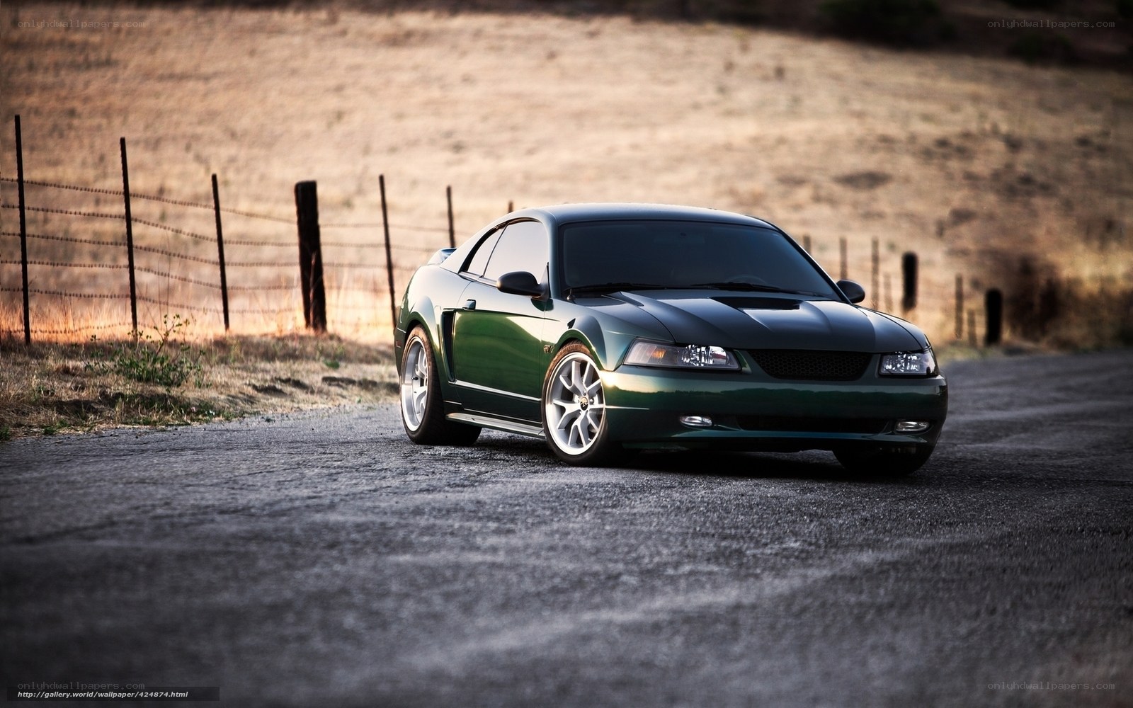 green mustang on rural road