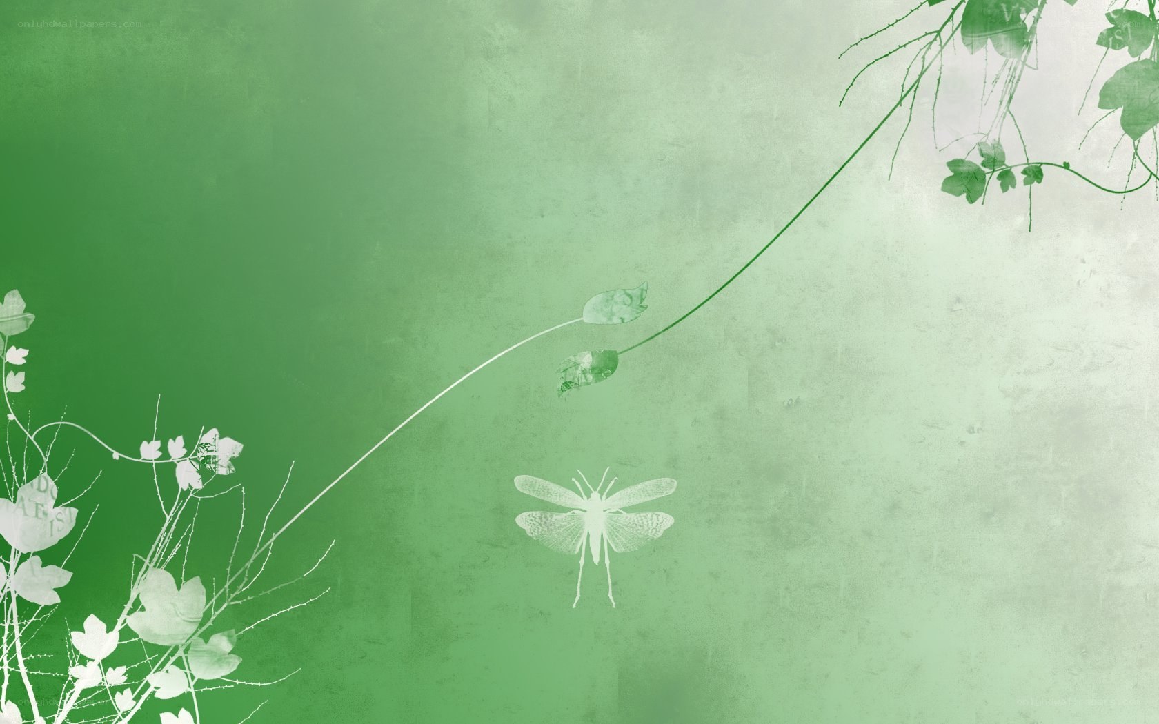 green nature illustration
