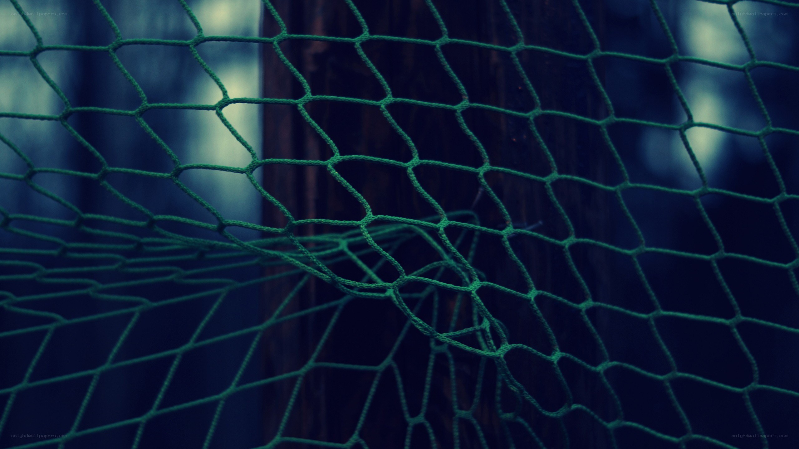 green net on wooden post