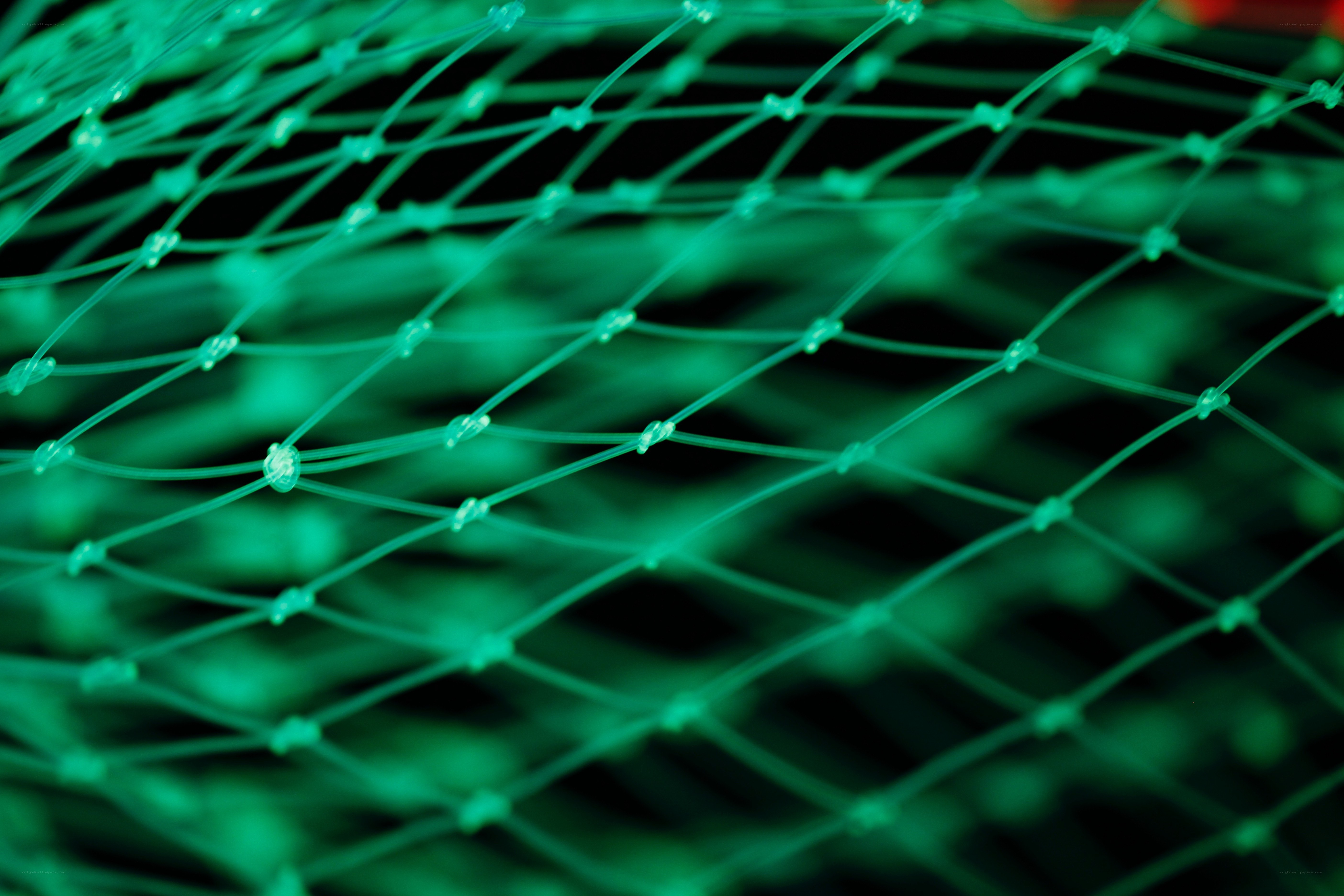 green netting texture