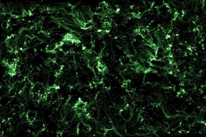 Green Network Lines — Energetic