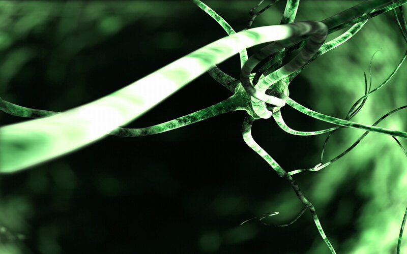green neural network