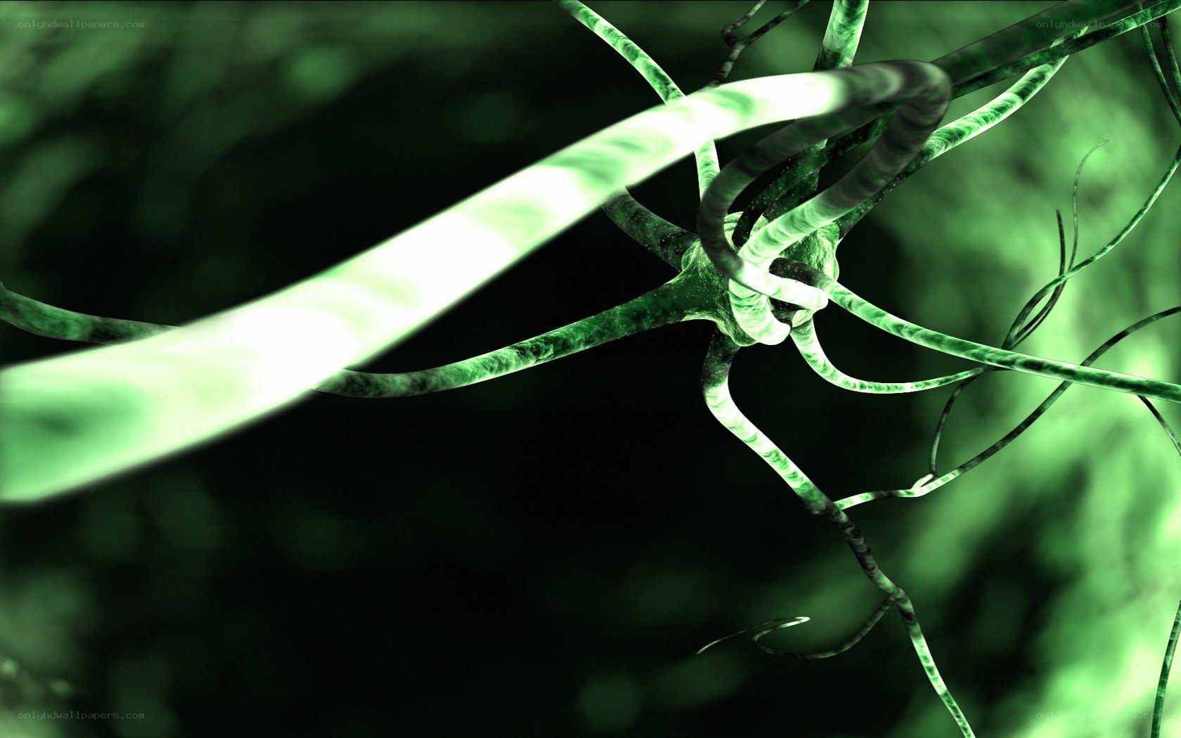 green neural network