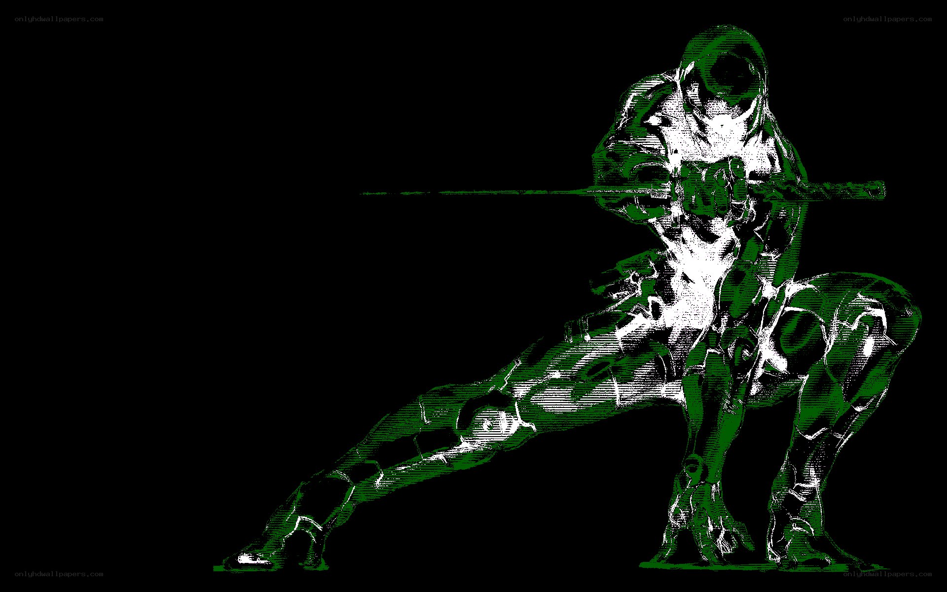 green ninja warrior
