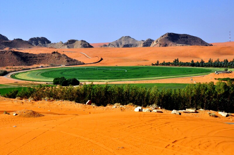 Green Oasis in Desert