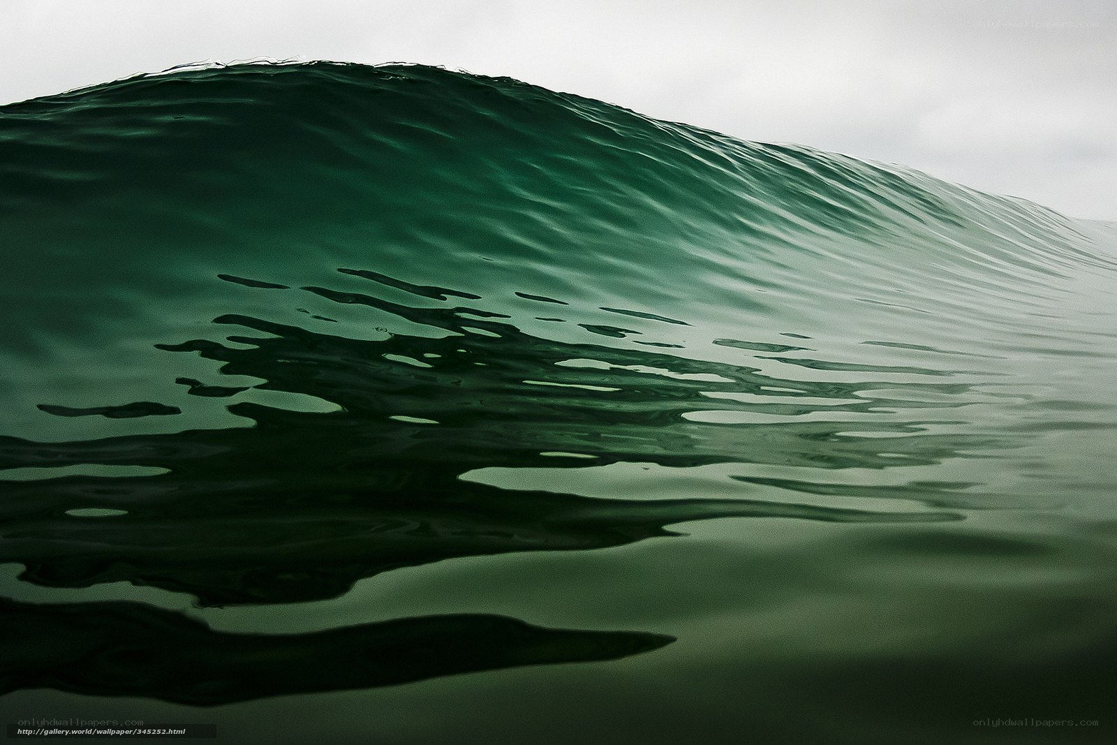 Green ocean wave at sea