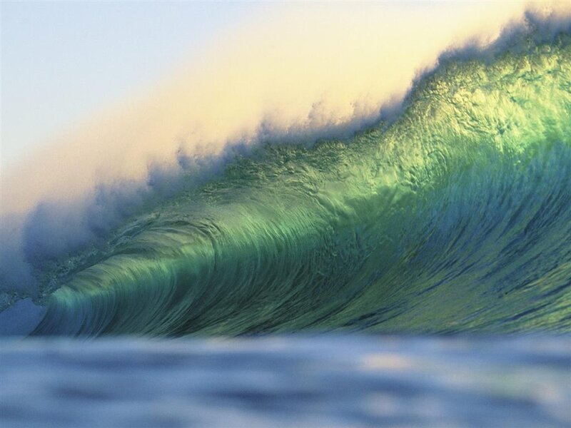 Green ocean wave at sunset