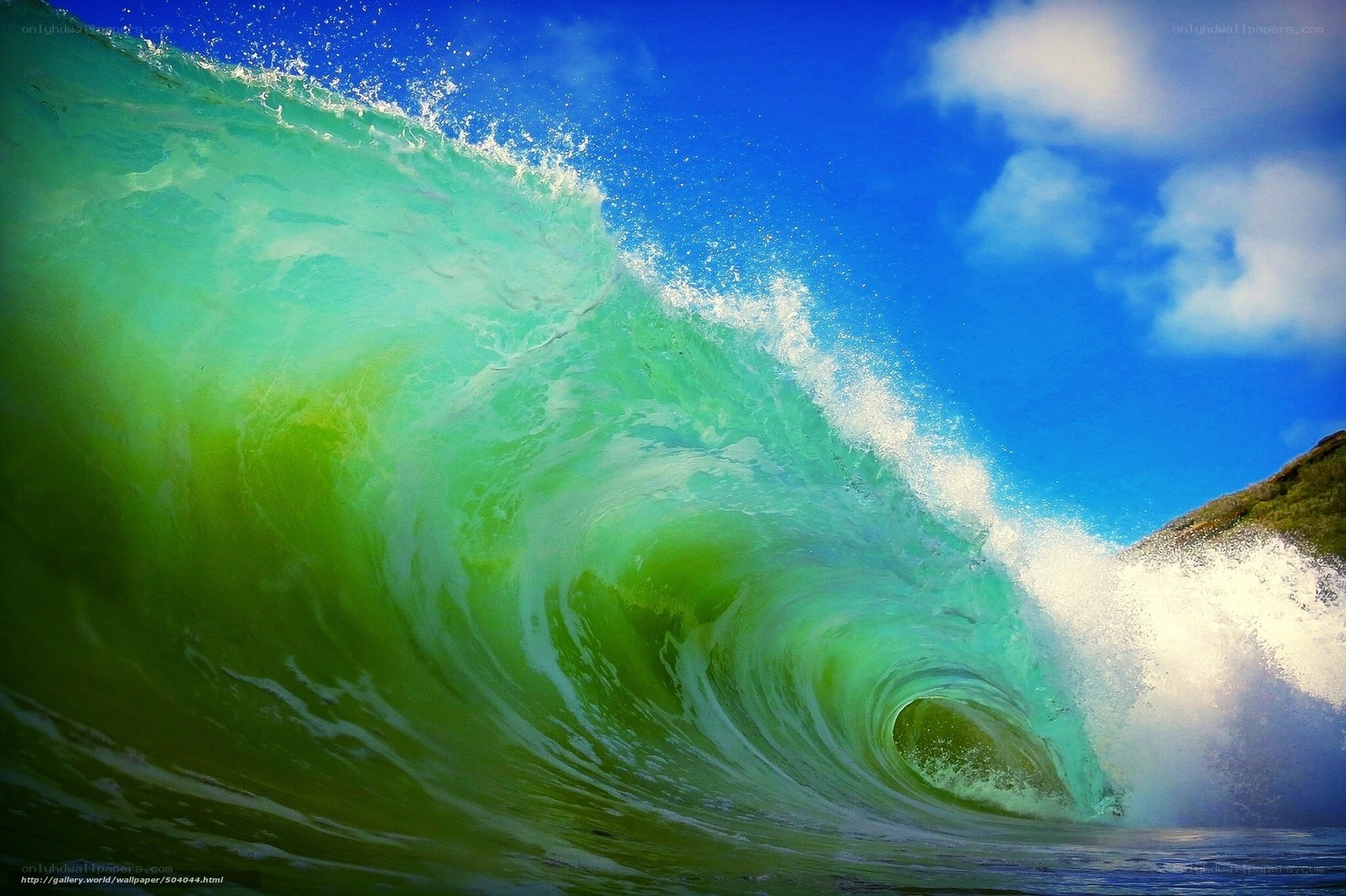 Green ocean wave curling
