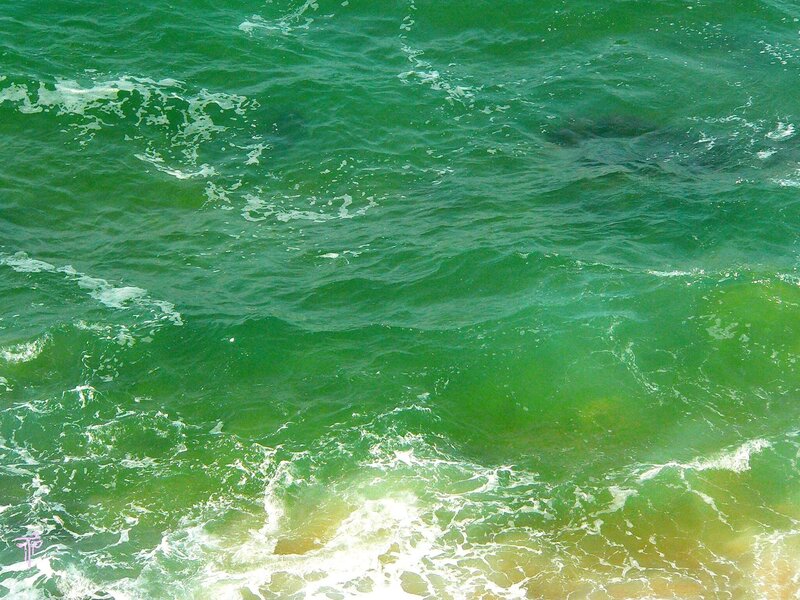 Green Ocean Waves