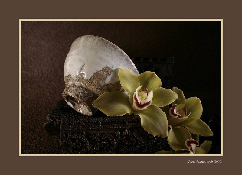 Green Orchid and Ceramic Bowl