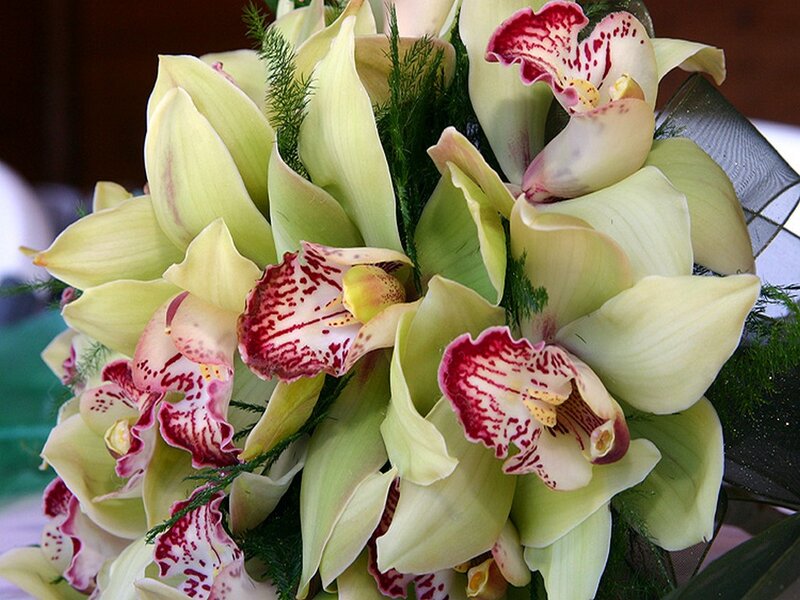 Green Orchid Bouquet — Calm