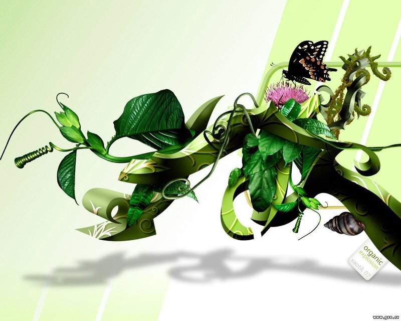 green organic explosion