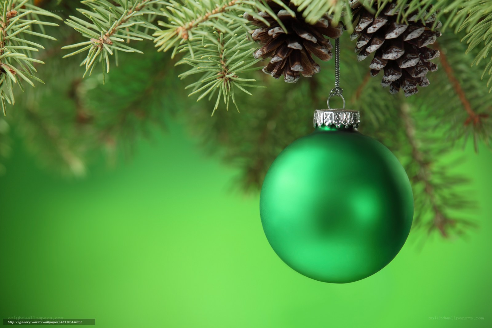 green ornament on pine branch