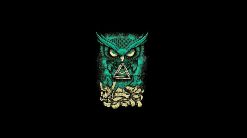 Green Owl Illustration