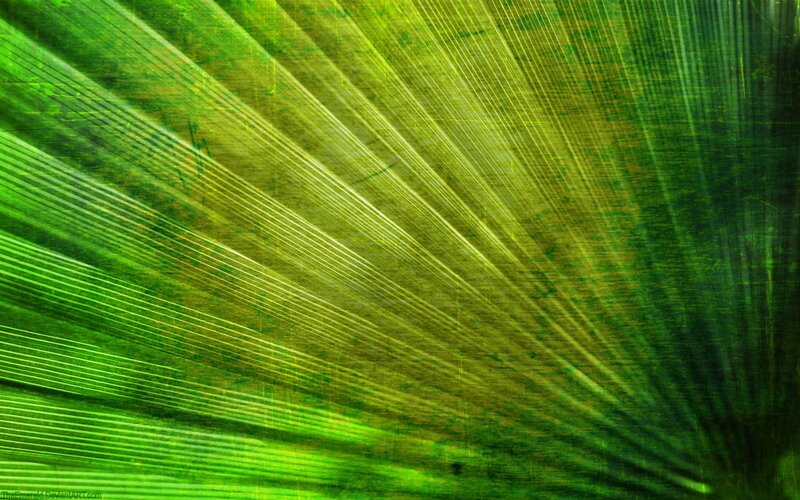 Green Palm Leaf Texture — Natural
