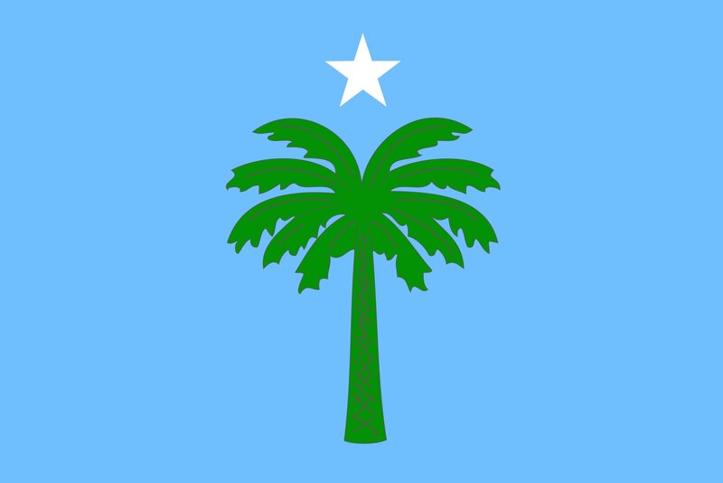 Green Palm Tree