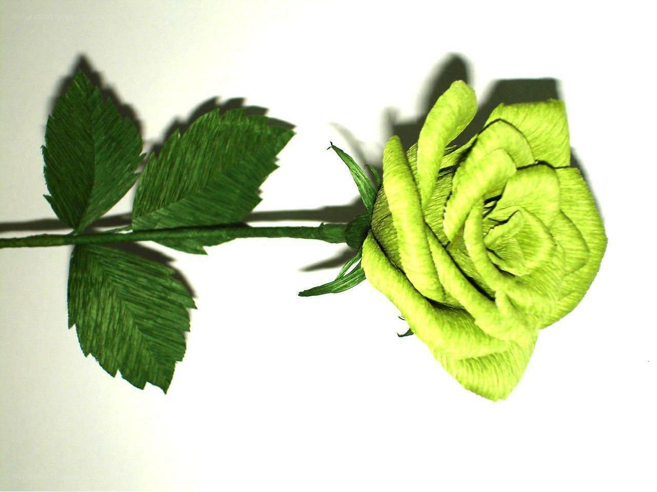 green paper rose flower