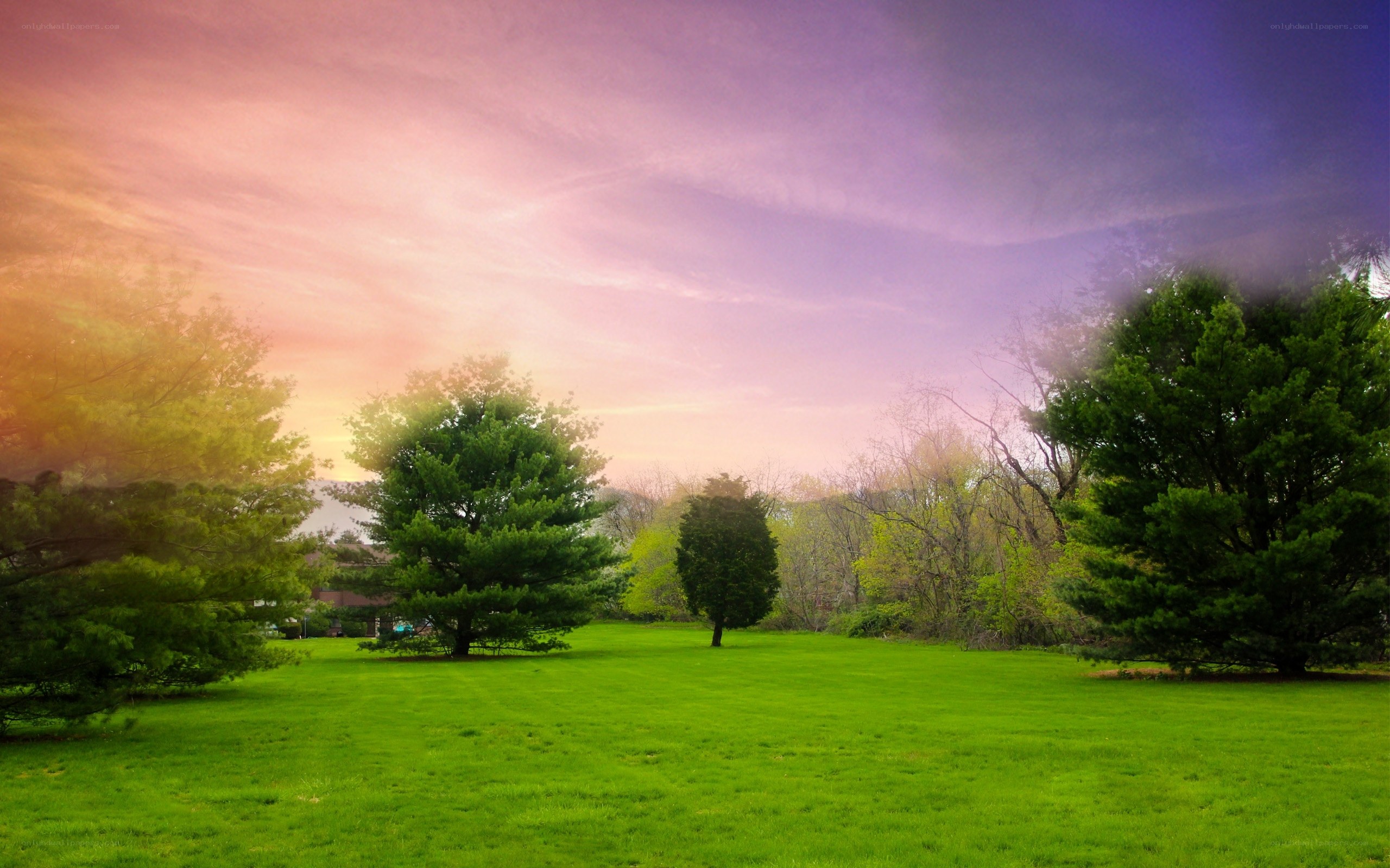 Green park at sunset