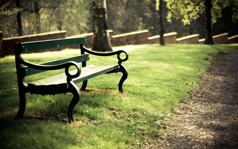Green Park Bench — Serene, Afternoon