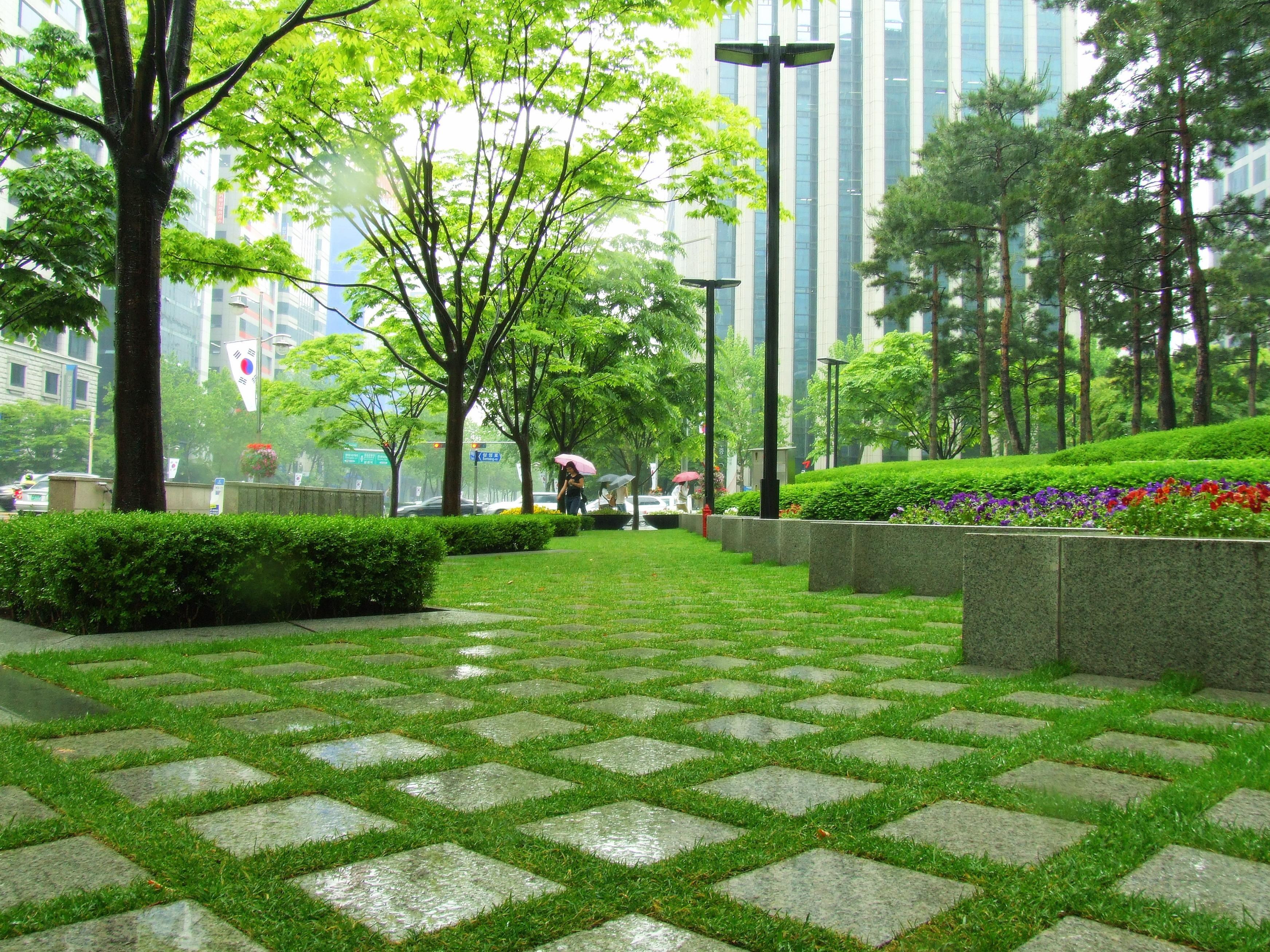 Green park in Seoul