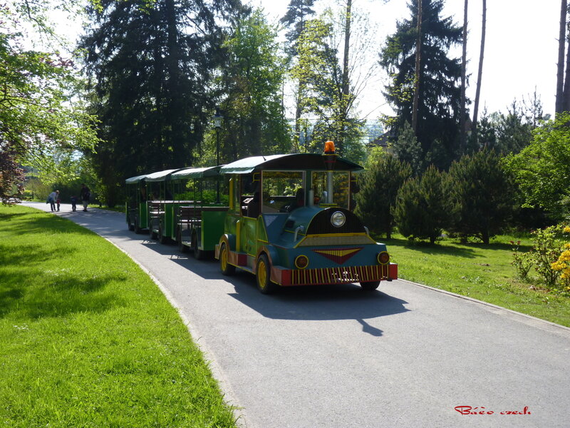 Green Park Train