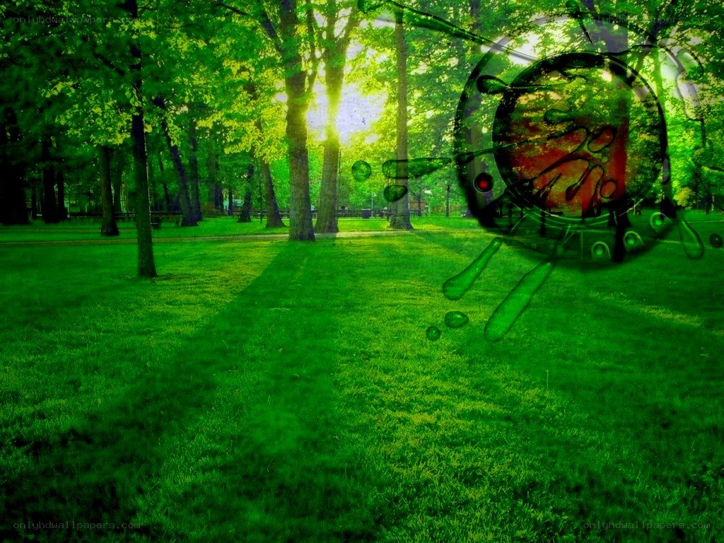 Green park with digital overlay