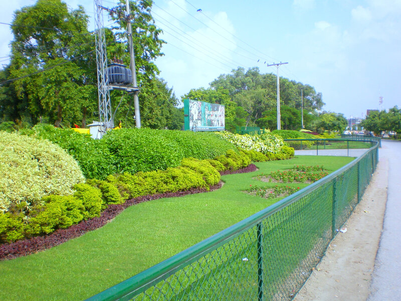 green park with fence