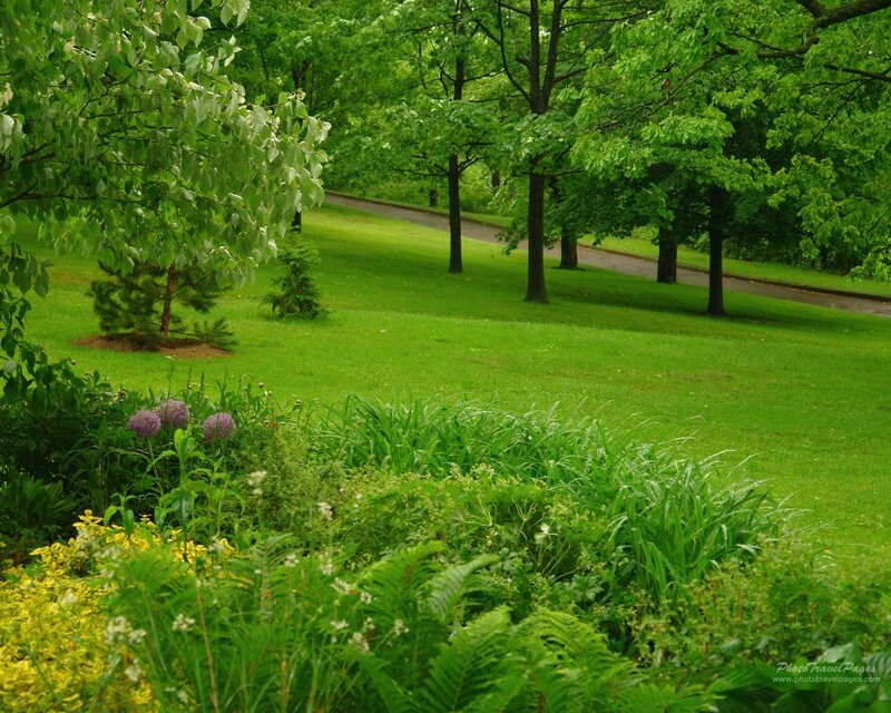 Green Park with Flowers