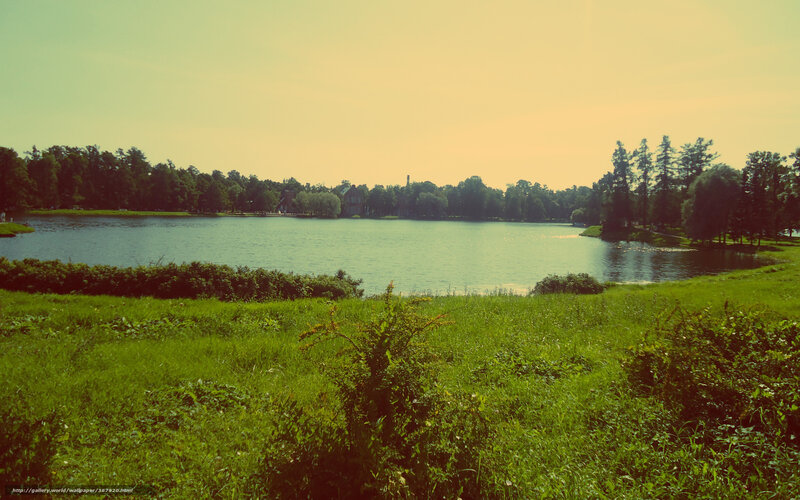 Green park with lake