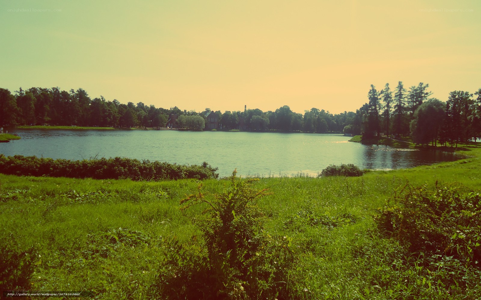 Green park with lake