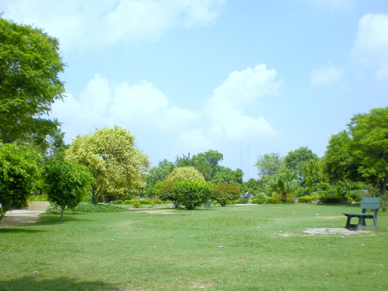 Green park with trees and bench