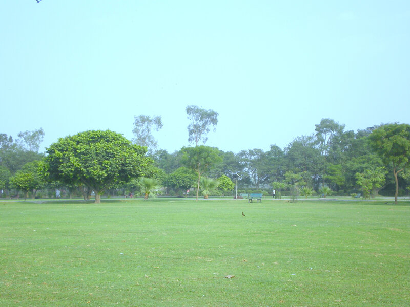 Green park with trees and benches