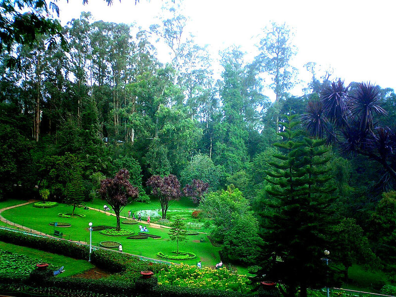 green park with trees and paths