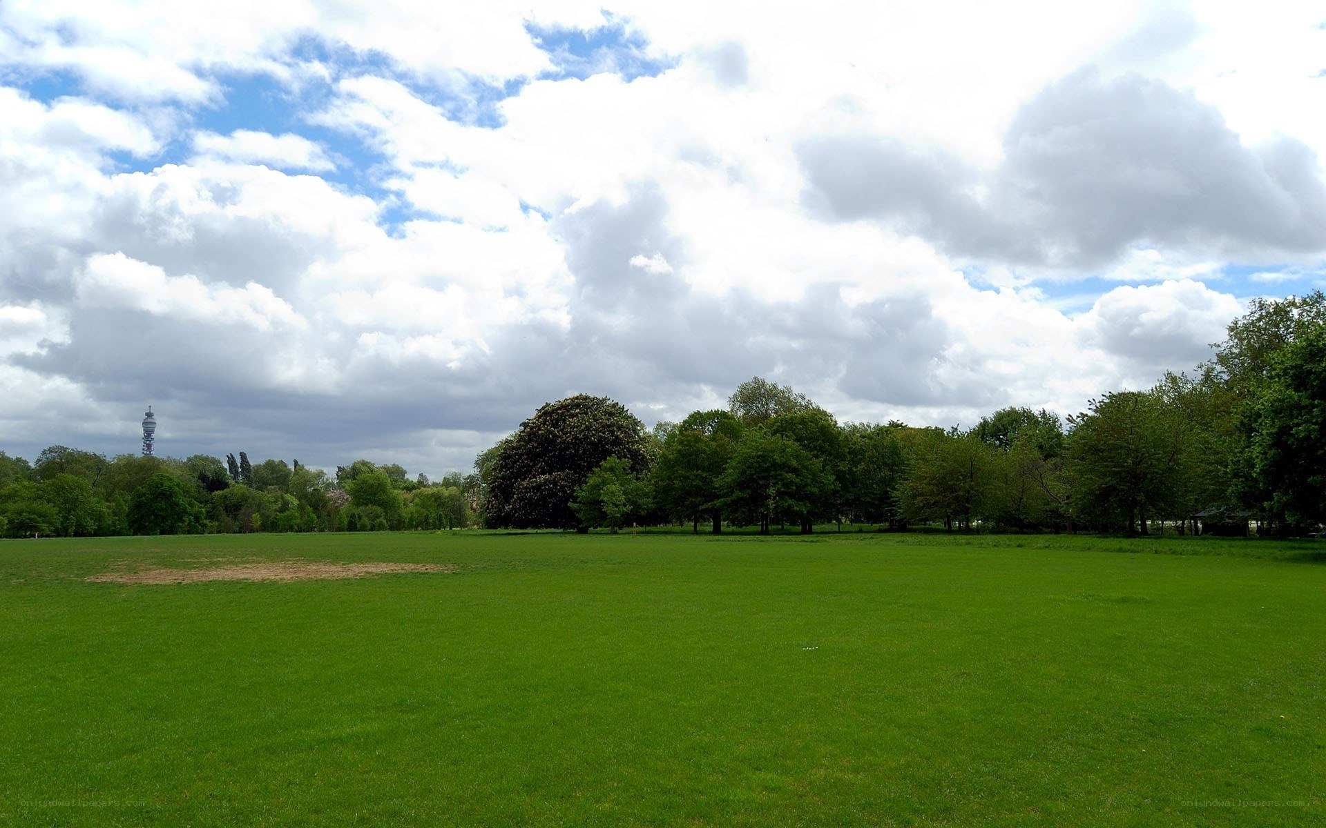 Green park with trees and sky