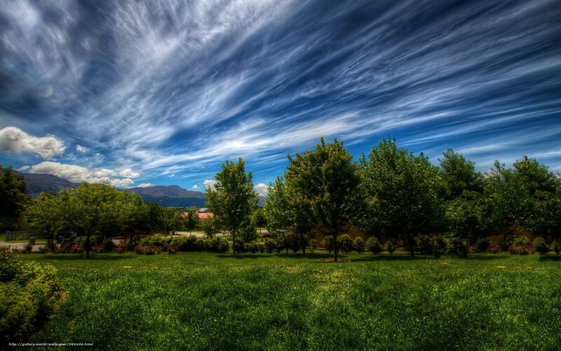 Green Park with Trees — Dramatic, Afternoon, Photograph