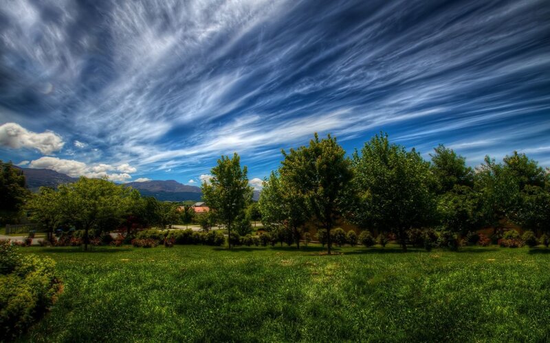 Green Park with Trees — Dramatic