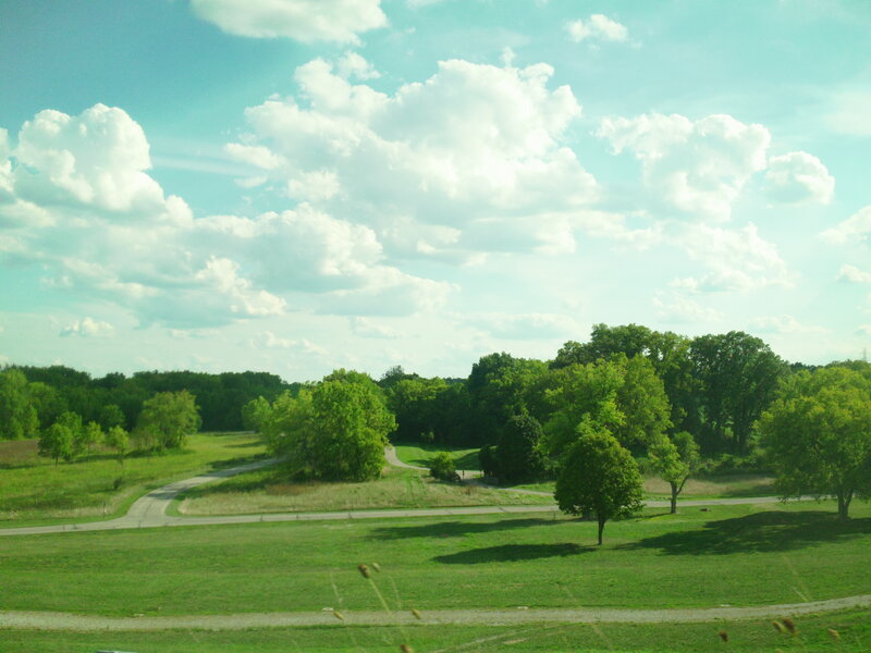 Green Park with Trees — Serene, Afternoon, Photograph, Path