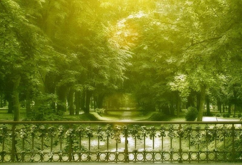Green Park with Trees — Serene, Afternoon