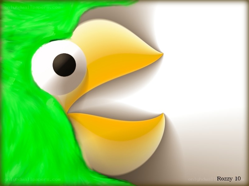 green parrot face close-up