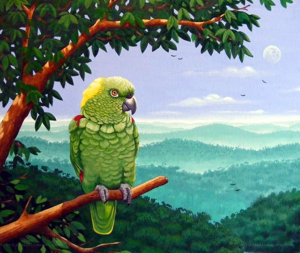 Green parrot on a tree branch