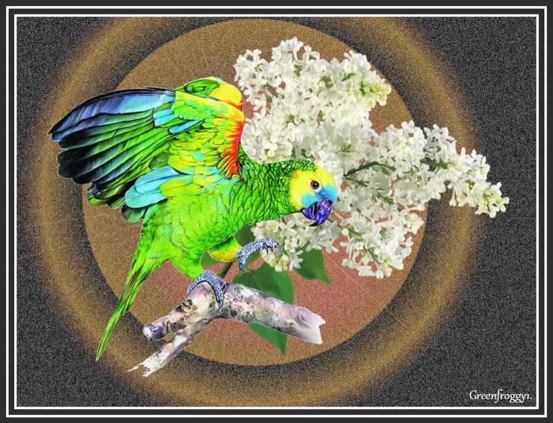 Green Parrot on Branch — Calm, Digital Art