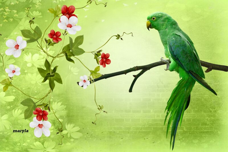 Green Parrot on Branch — Serene, Digital Art